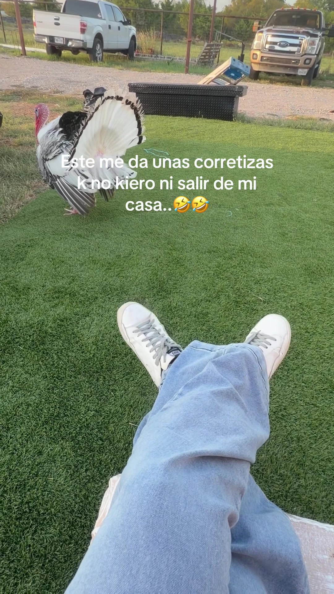 @Meyhrdz