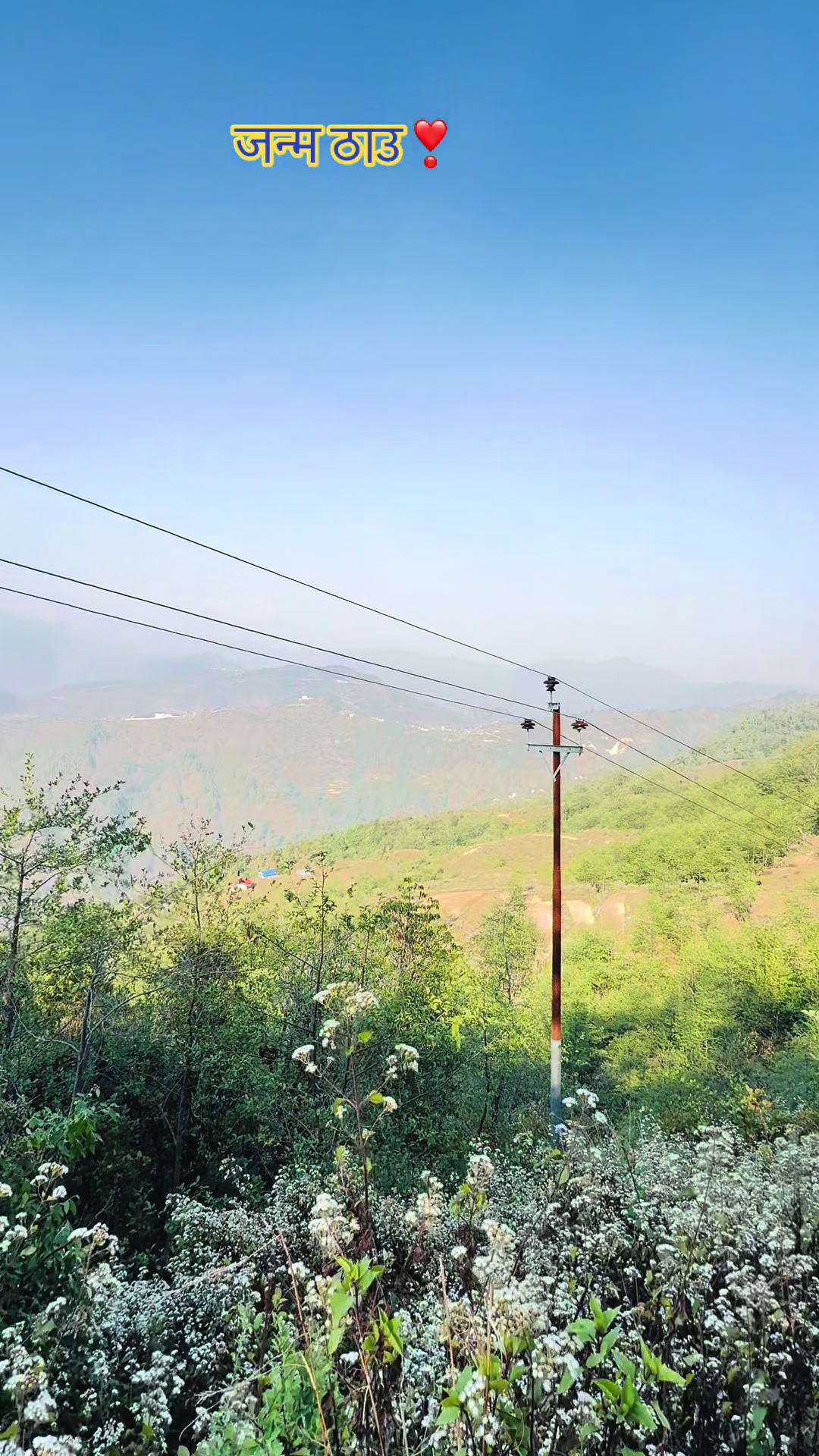 @Love❣️Is❣️Life मिस्टर कोरोना)