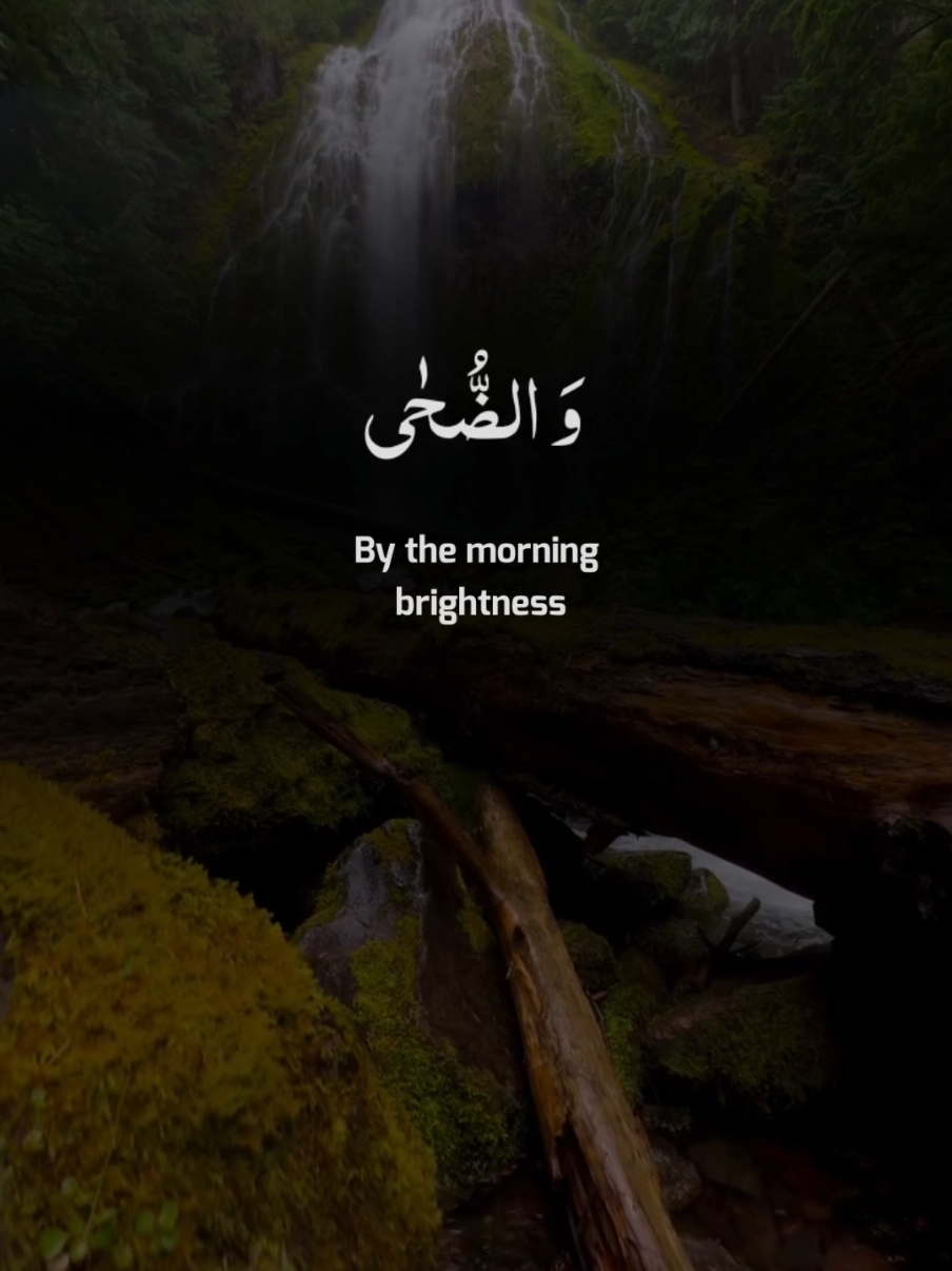 @Taimoor Hashmi