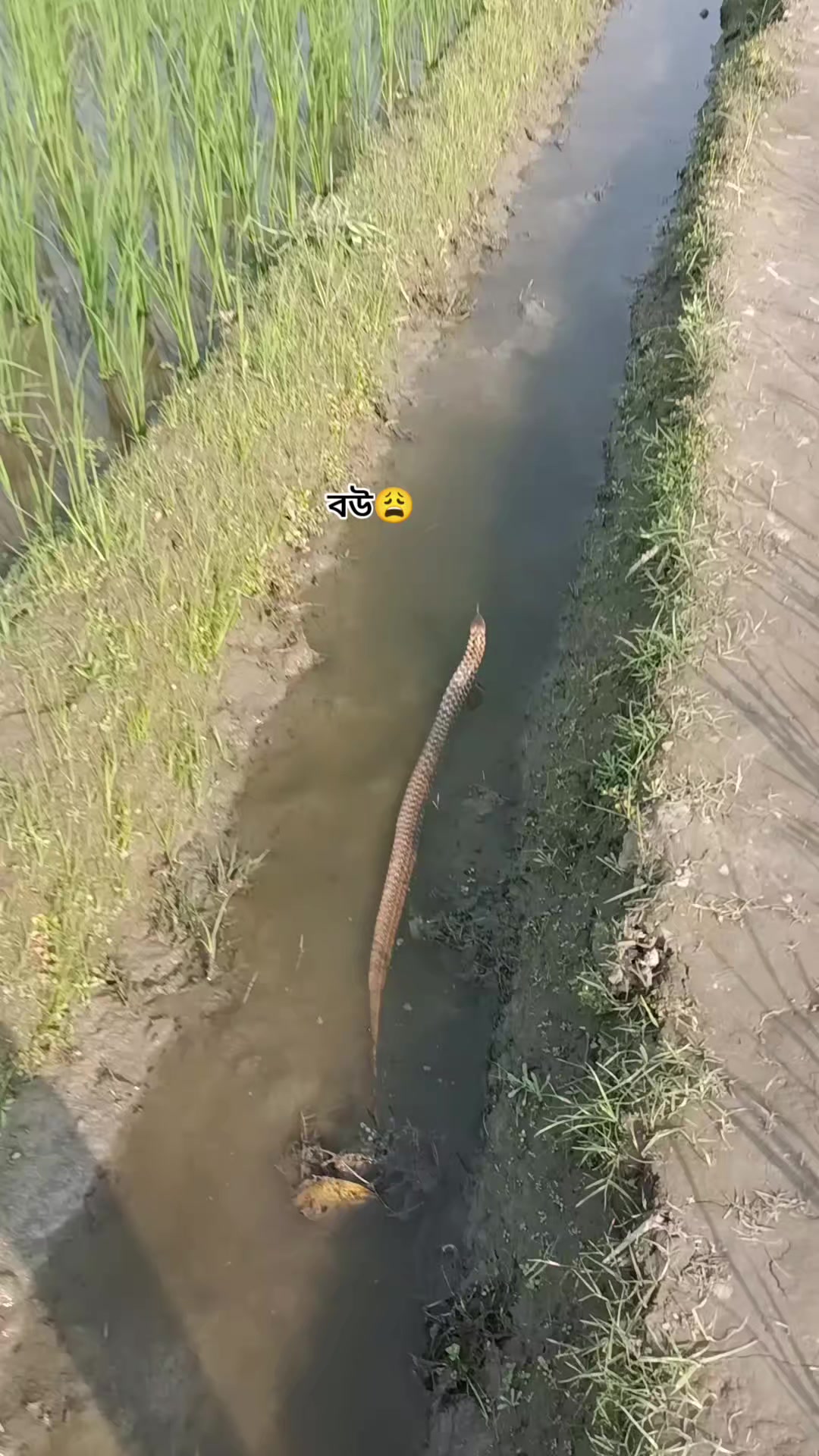 @&asymp;!!🩷পি_&raquo;&laquo;_চ্চি🩷!!&asymp;