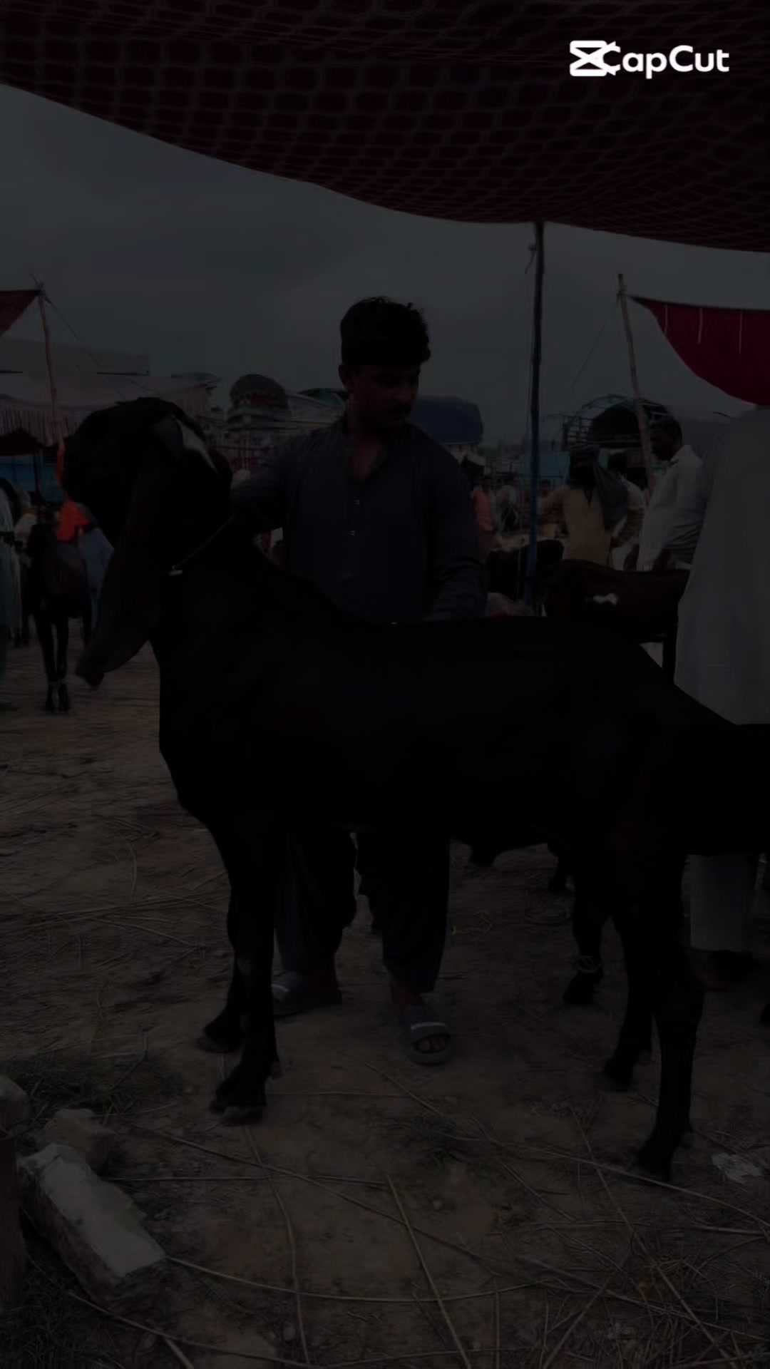@Buraq waqar
