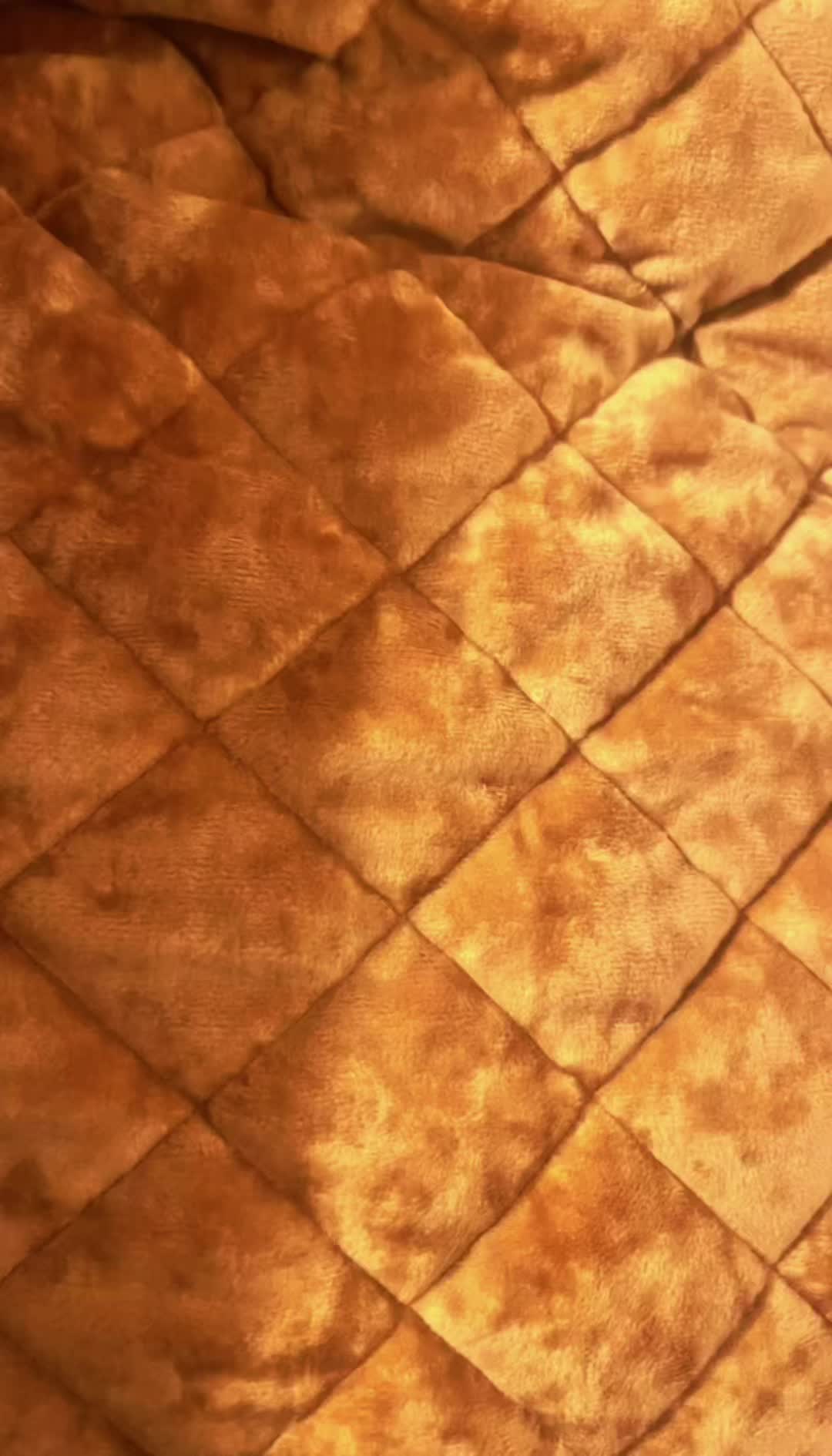 @🧲💎Cocohoney🅱️❌