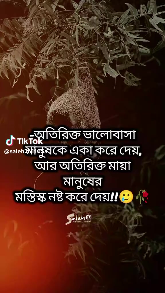 @নিঝুম তারা