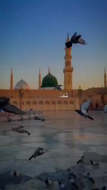 @𝗧𝗮𝗿𝗲𝗸 𝗕𝗵𝗮𝗶𝘆𝗮𝗮'♡︎