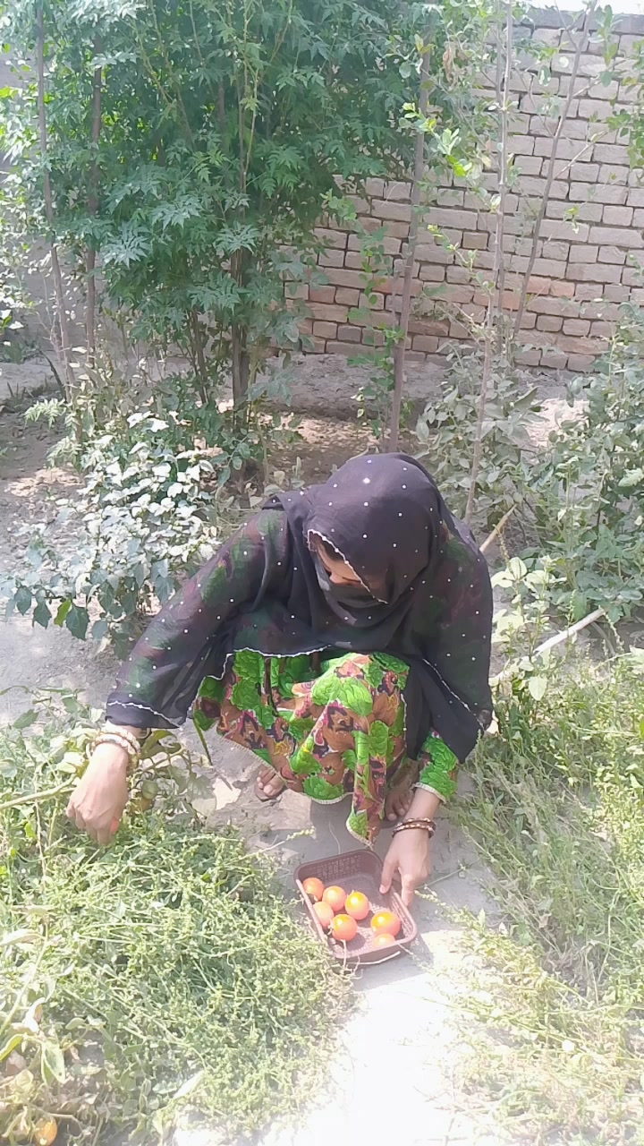 @nasreennasreen8706