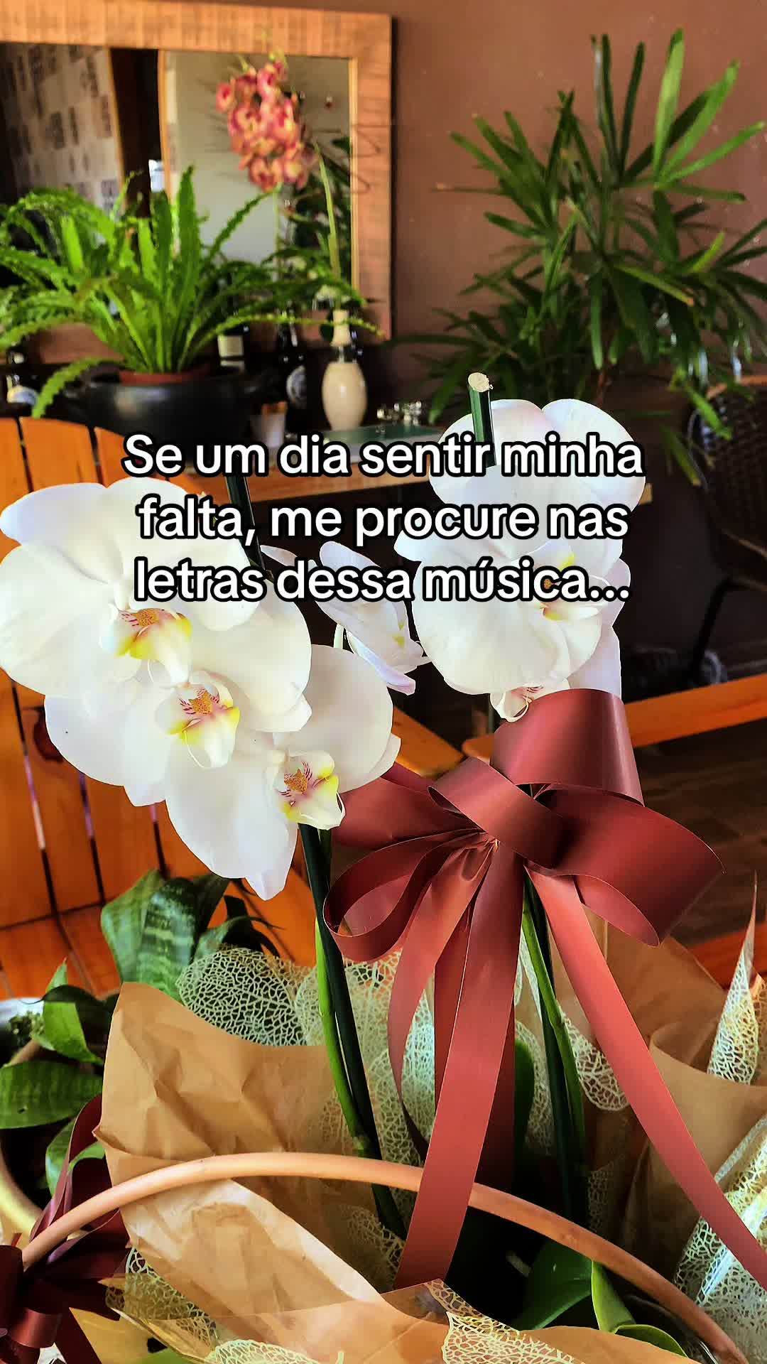 @Rosani ✨🦋✨