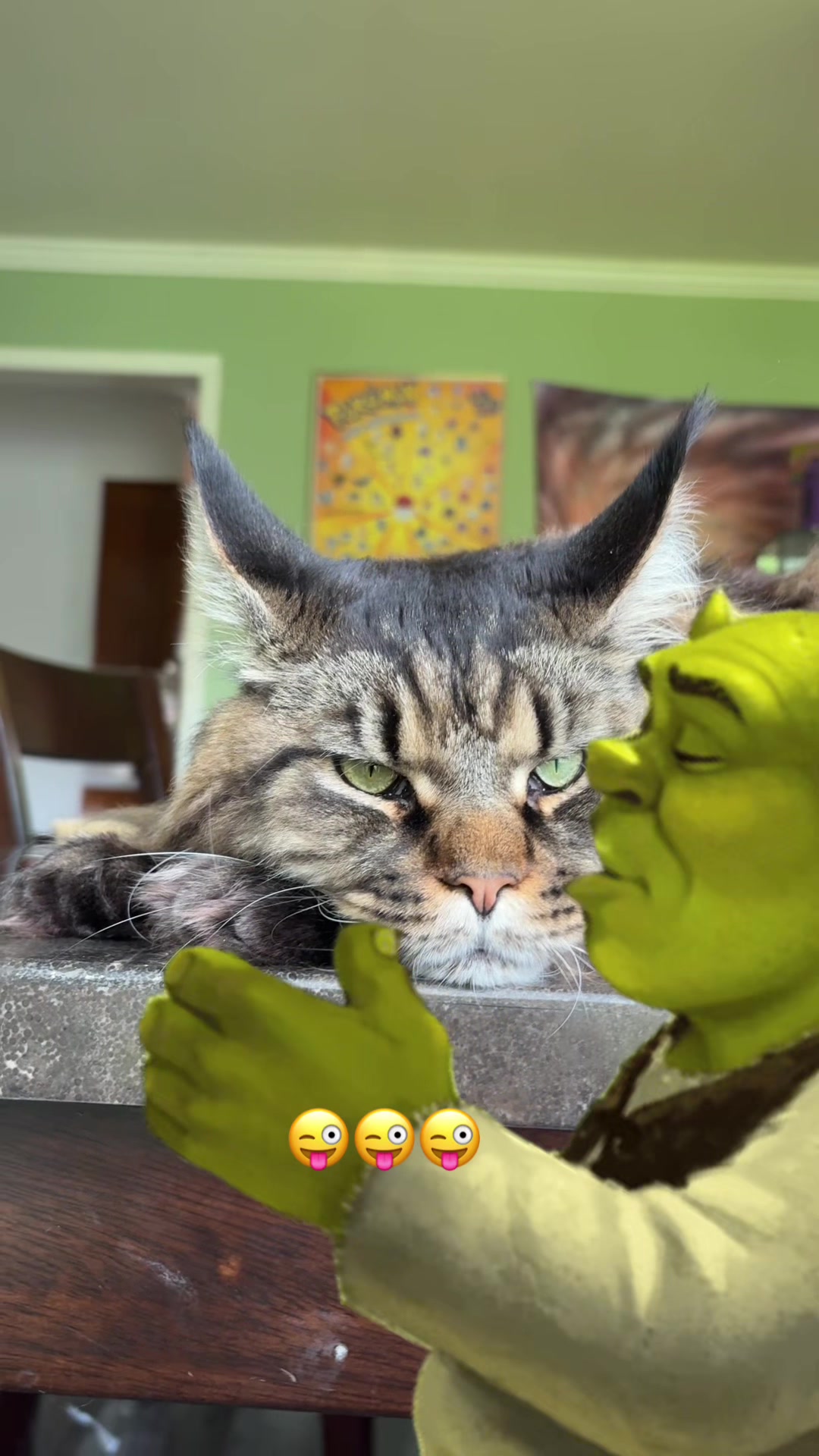 @maryyy🍄🧚🌙🐈&zwj;⬛