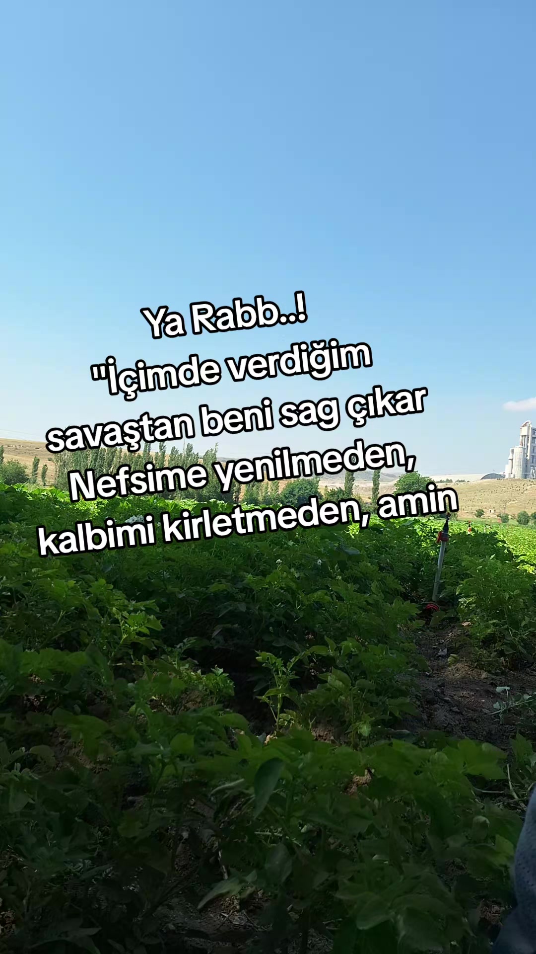 @Bet&uuml;l Halil sağ
