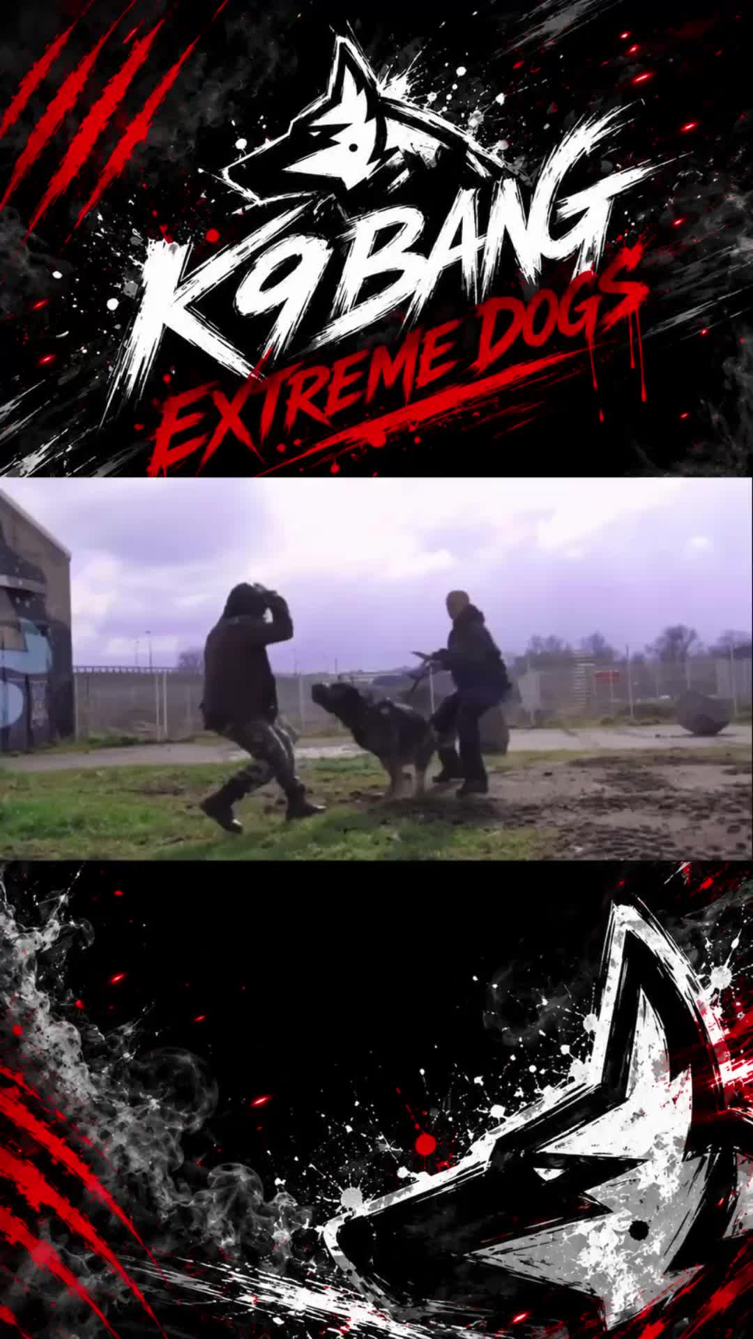 @K9 BANG
