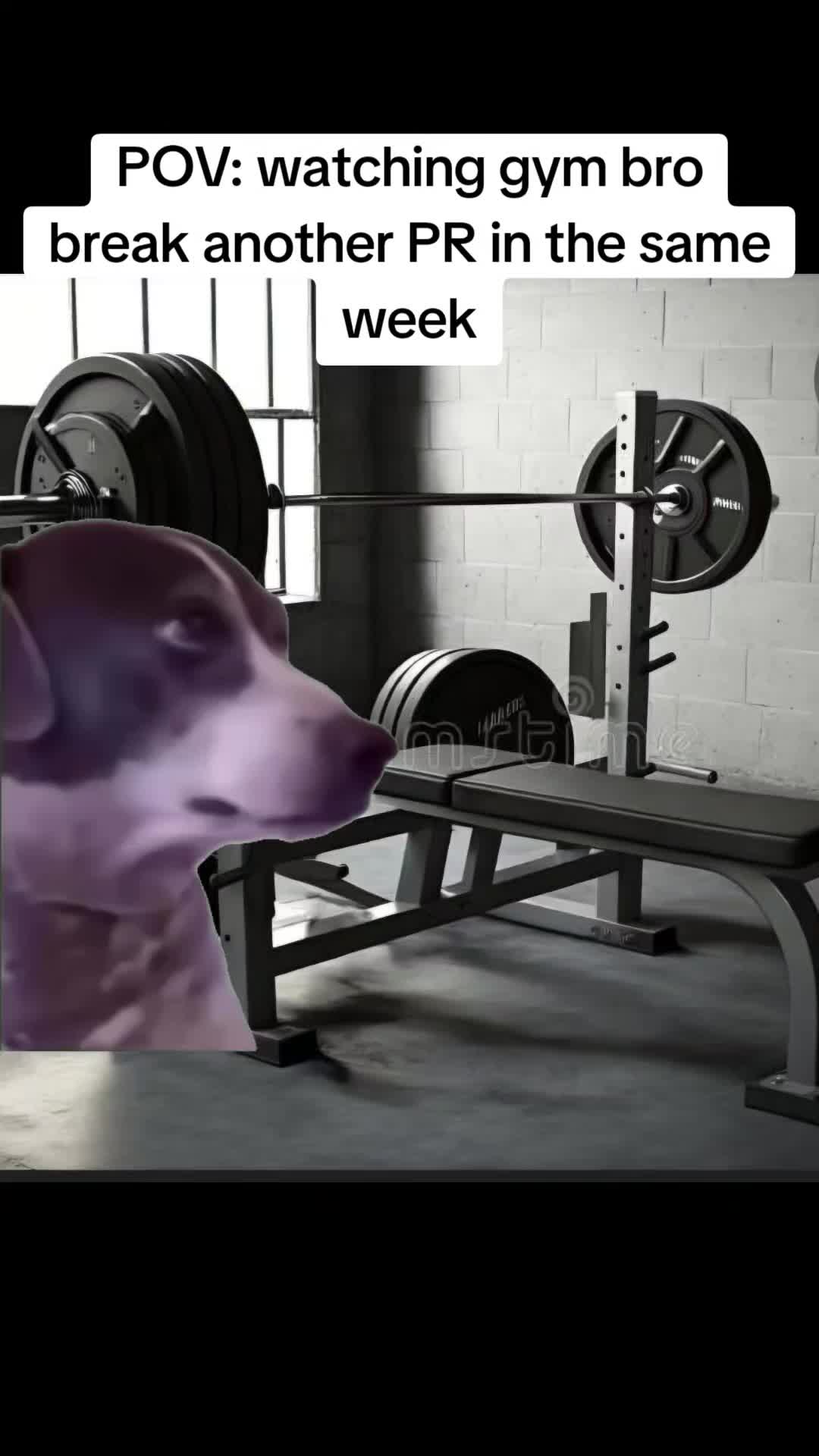 @ASKLILPHIL
