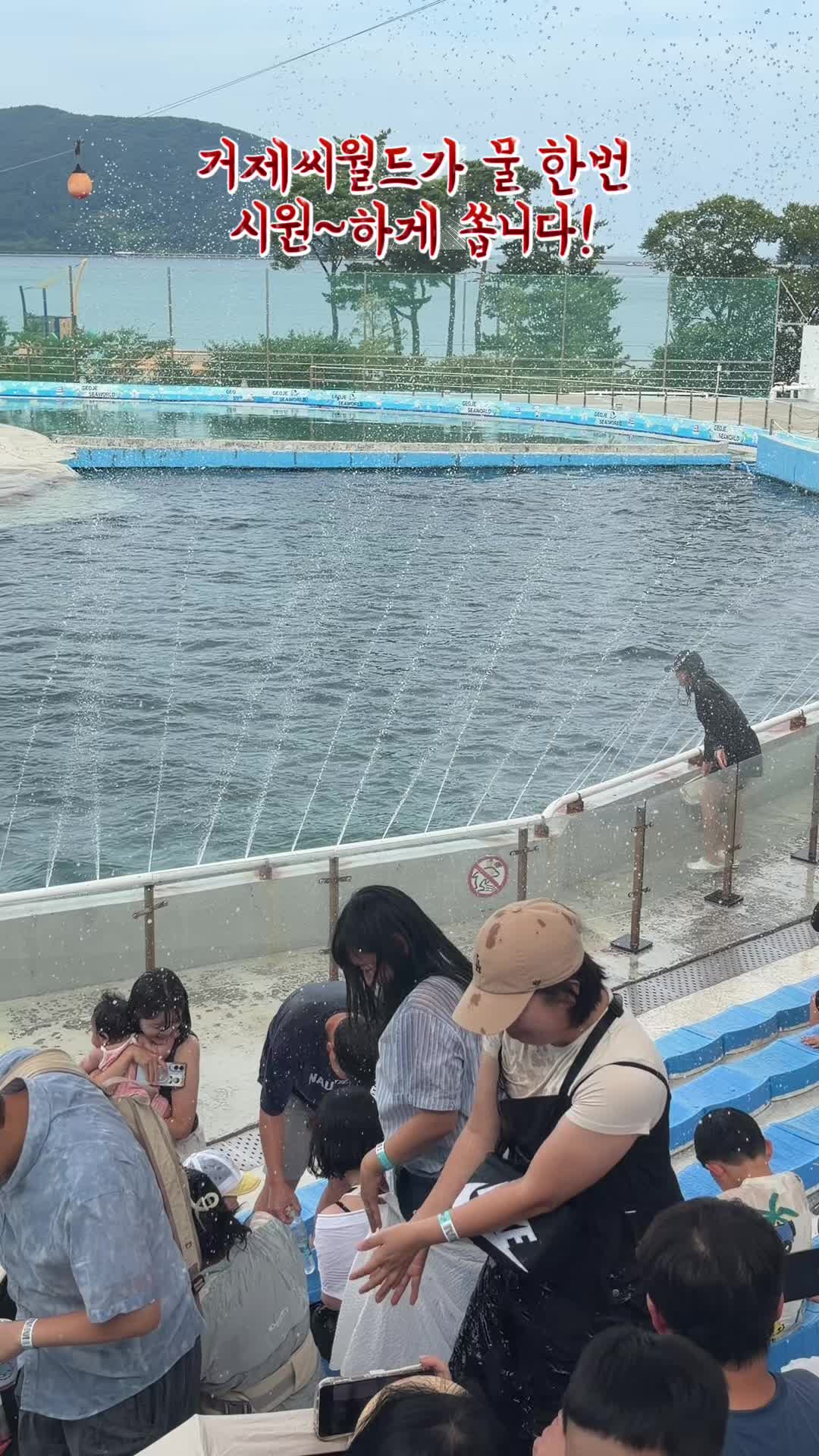 @DolphinTok