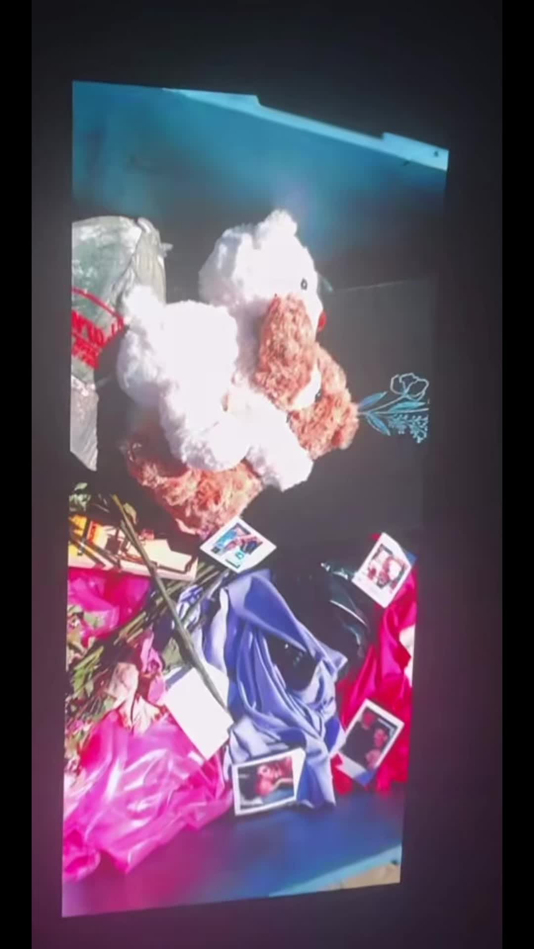 @kyliecantralllover1