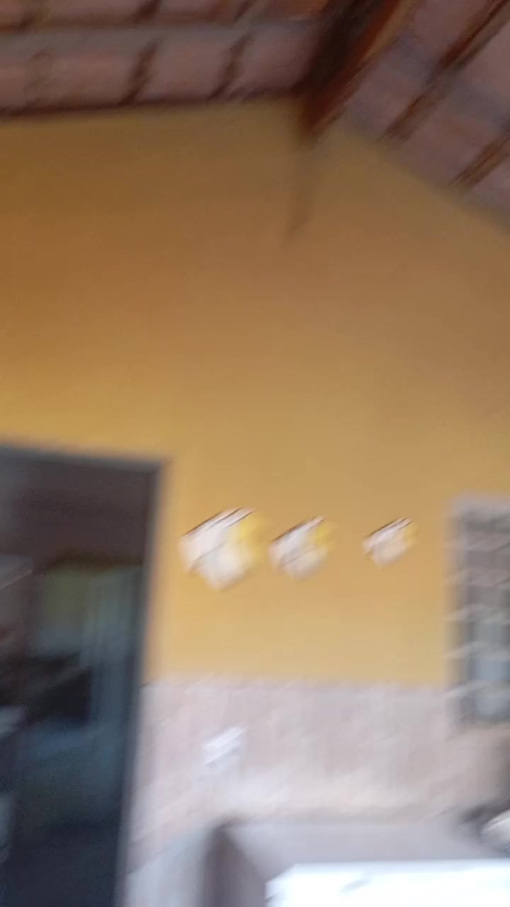 @🥀盧卡斯-🤷