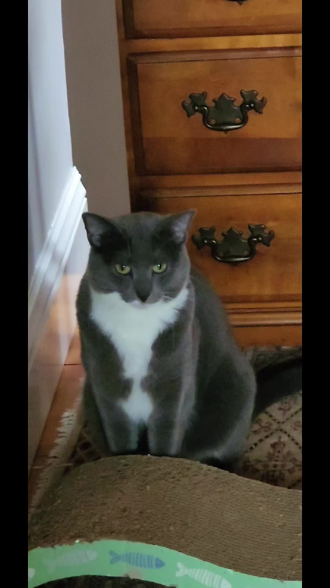 @Act Natural