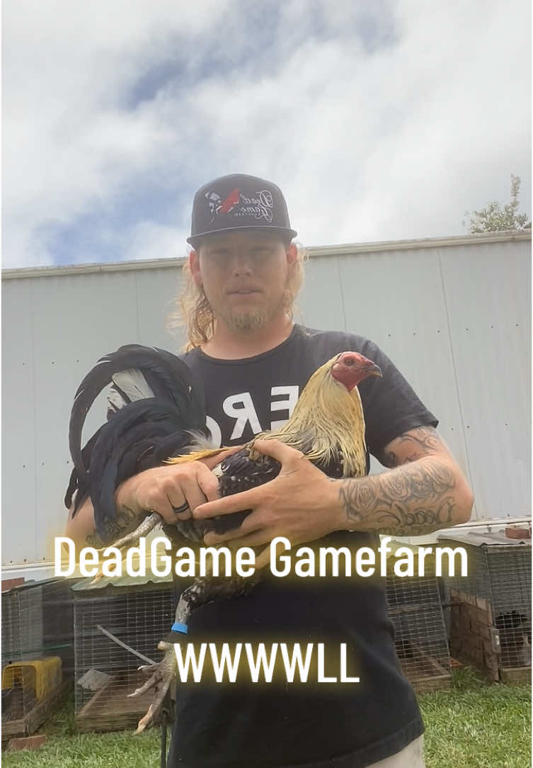@DeadGame.Gamefarm