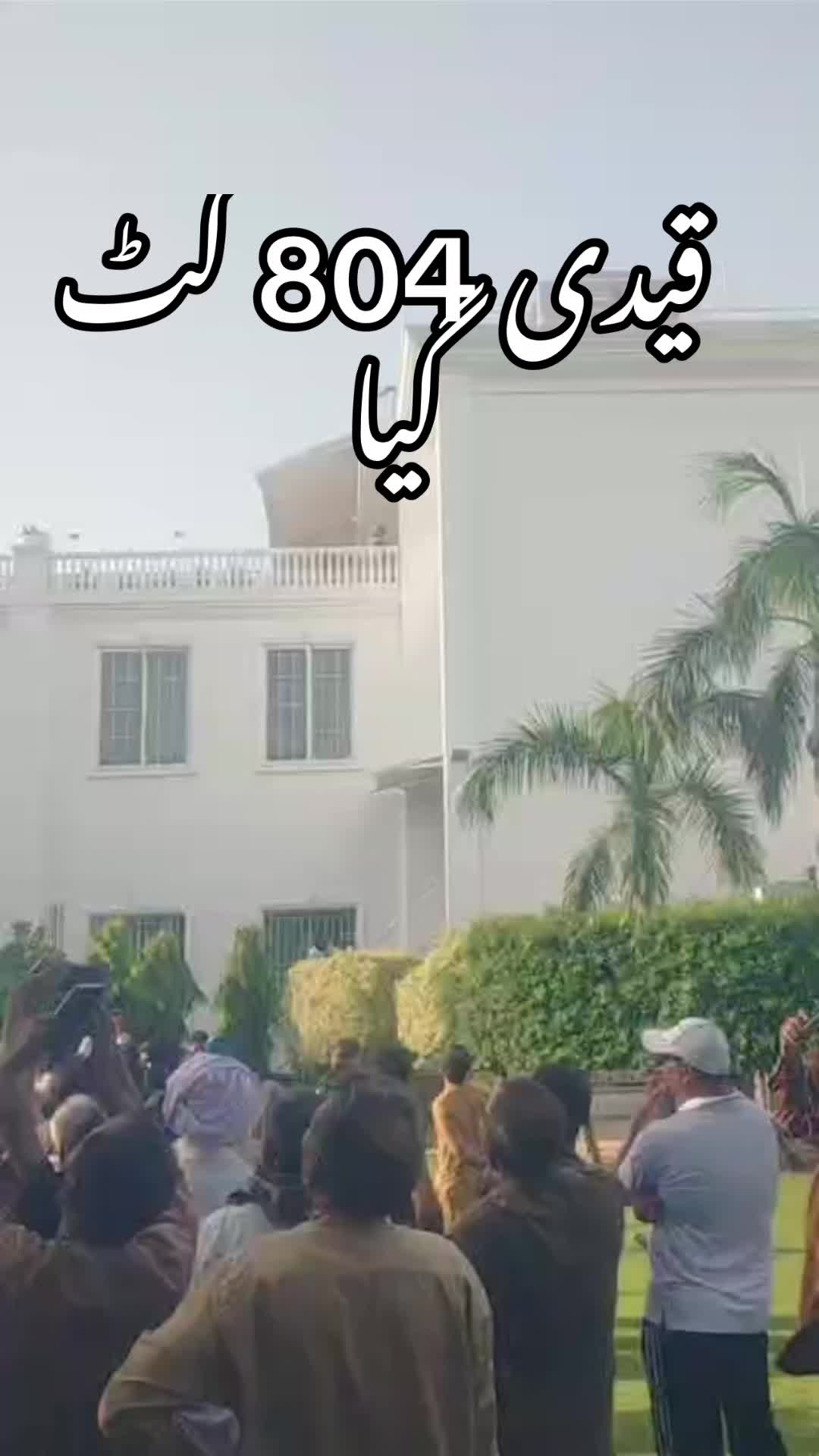 @pigeonpunjab0