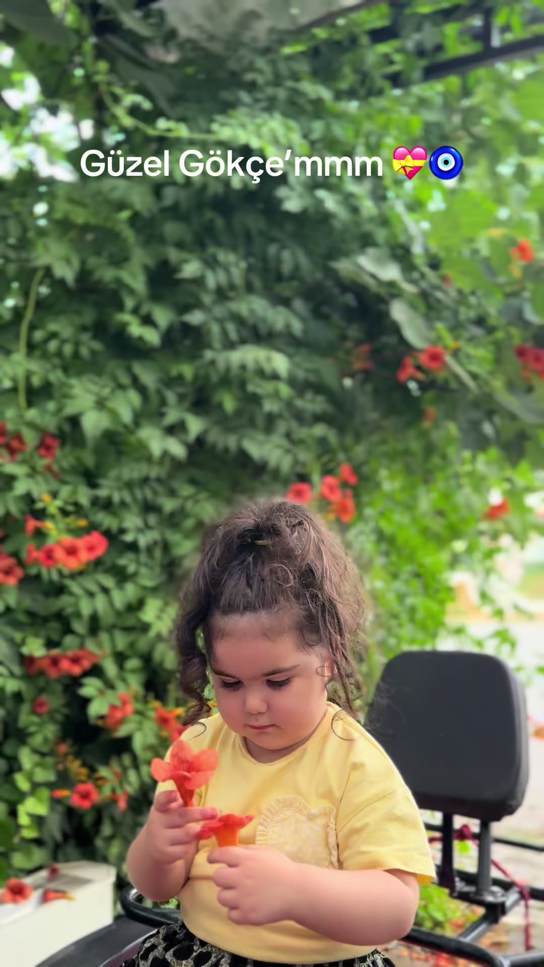 @Çetin BATUR