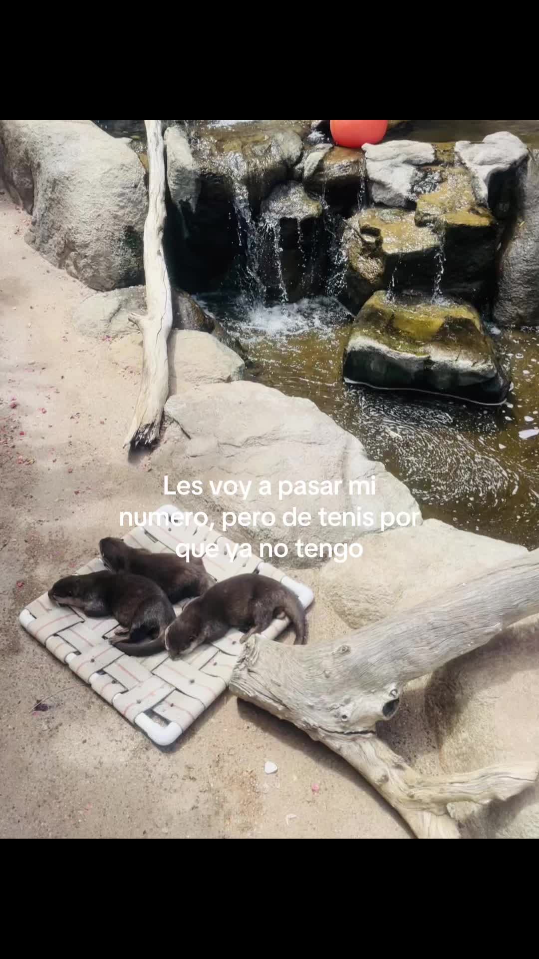 @I s a b e l l a 🫰🏿🤍