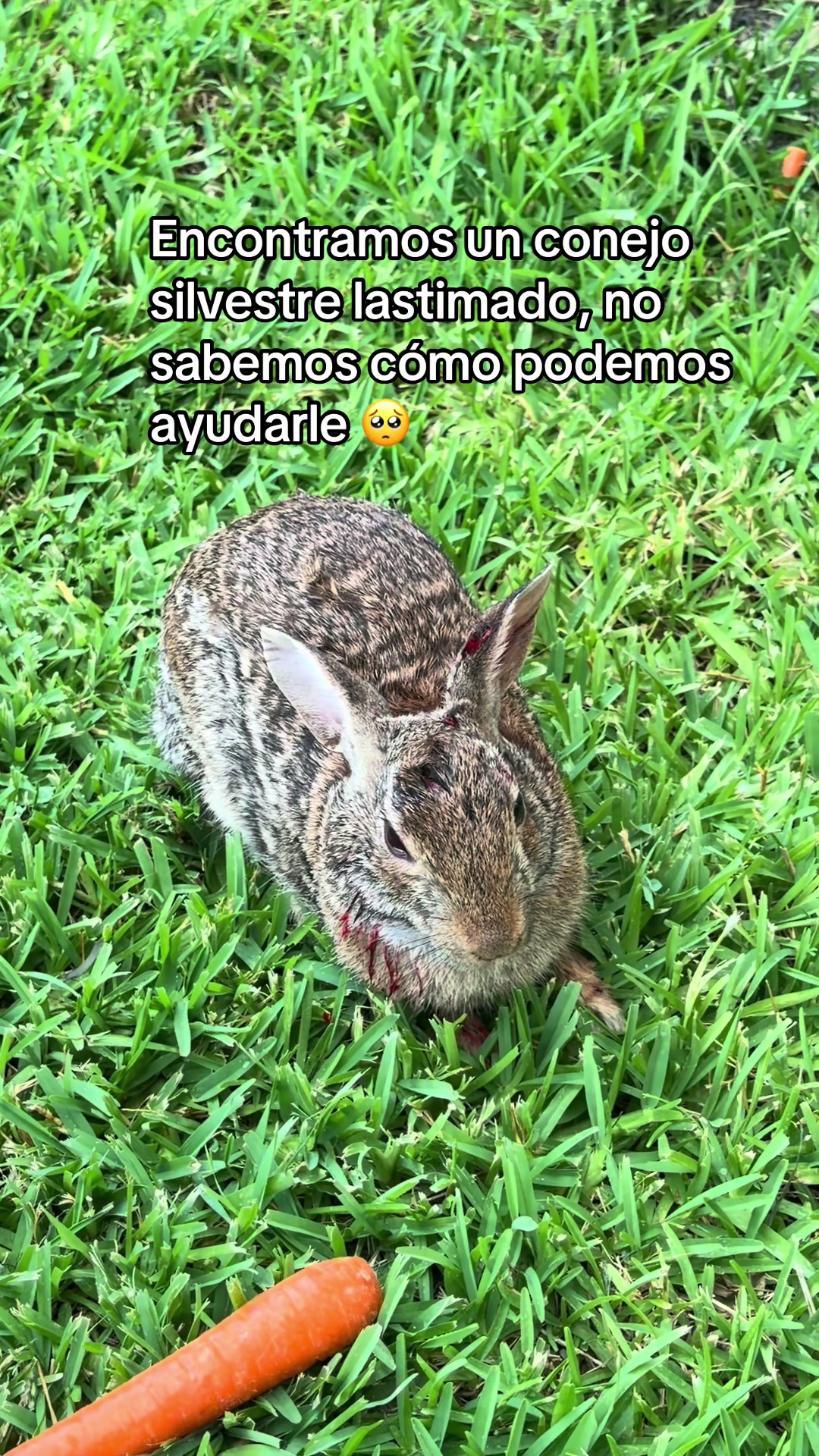 @marlene_rosass