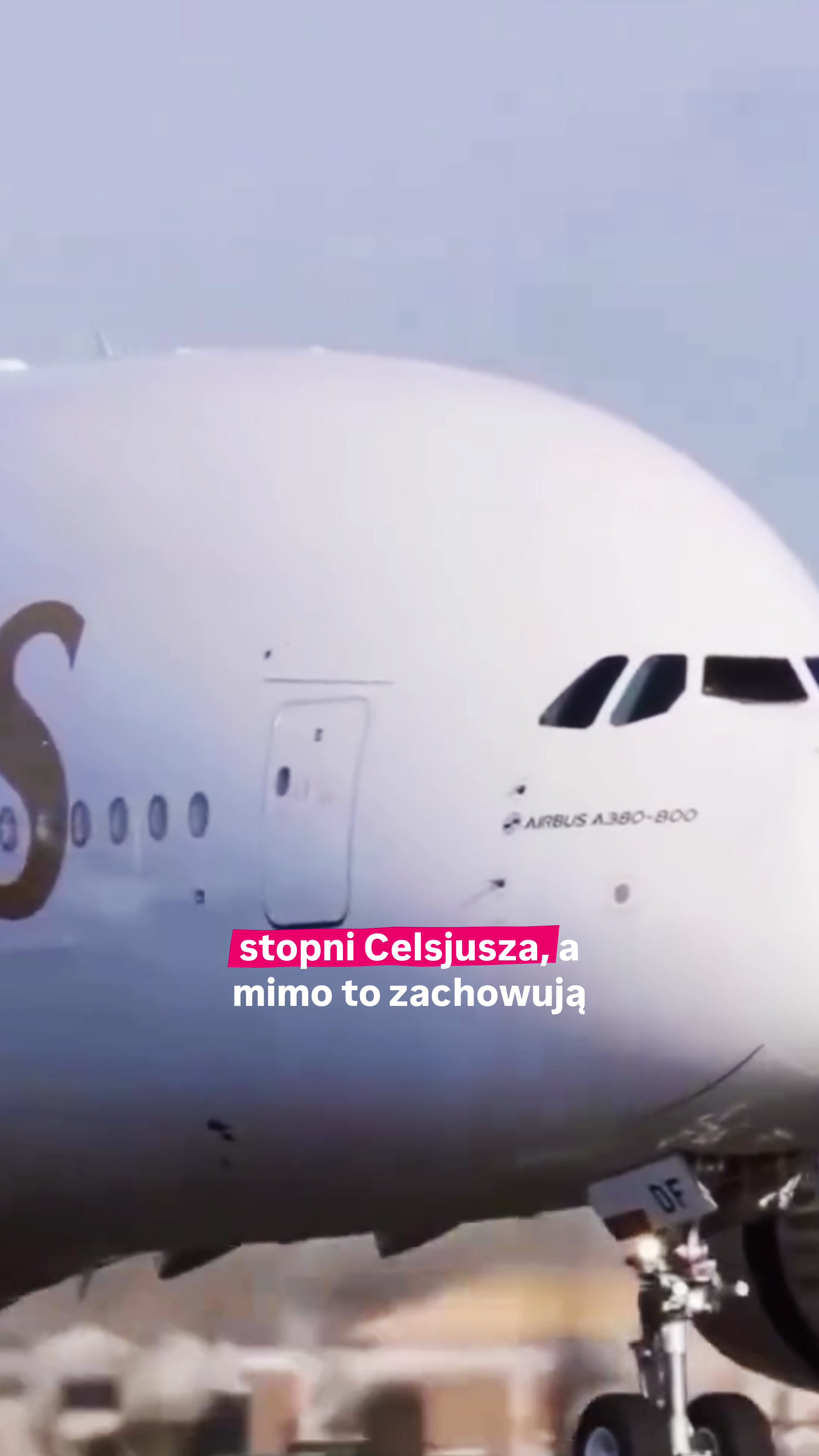 @LatanieBezŚciemy