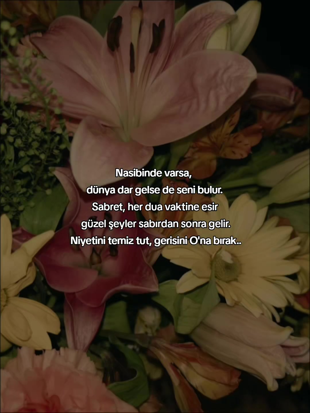 @𝐀𝐬𝐦𝐢𝐧🦋