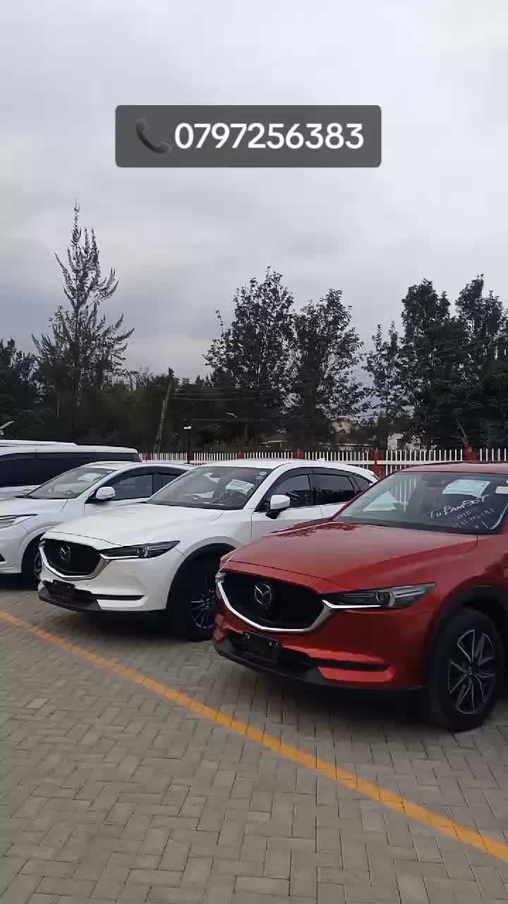 @Dream _Wheel_Dealers