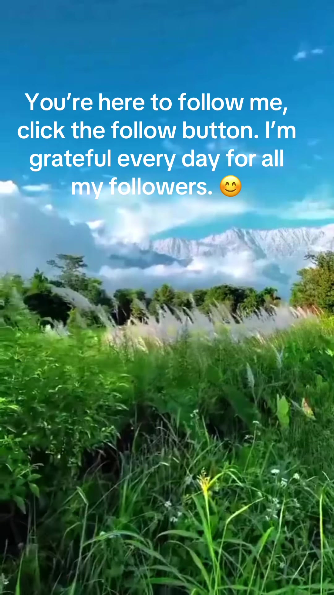 @Michelle Mora