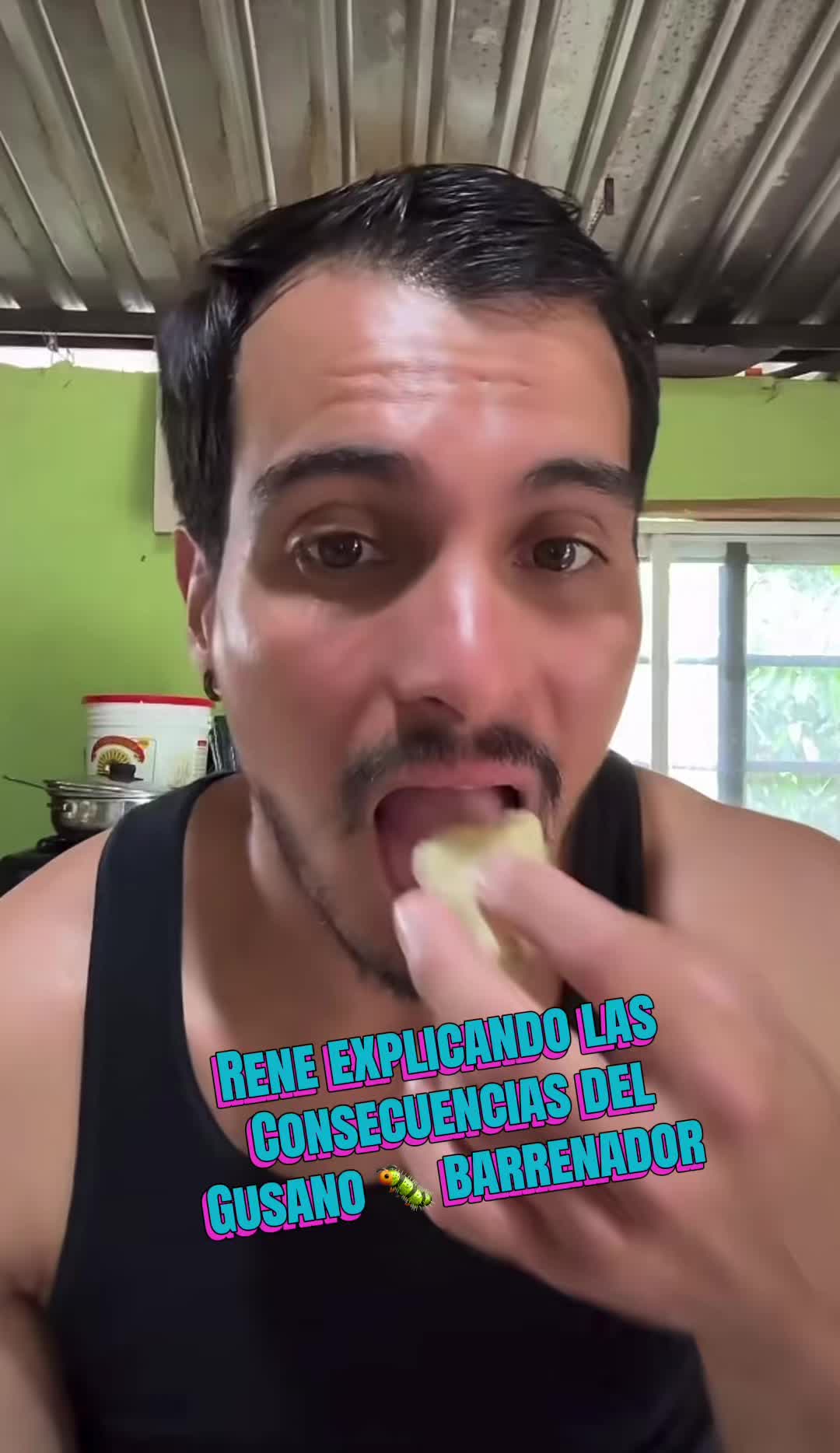 @marthahdos 🐮