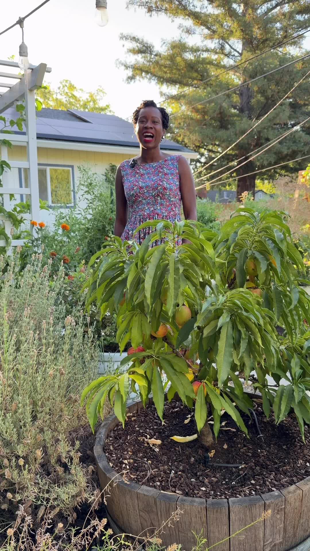 @curlycultivators
