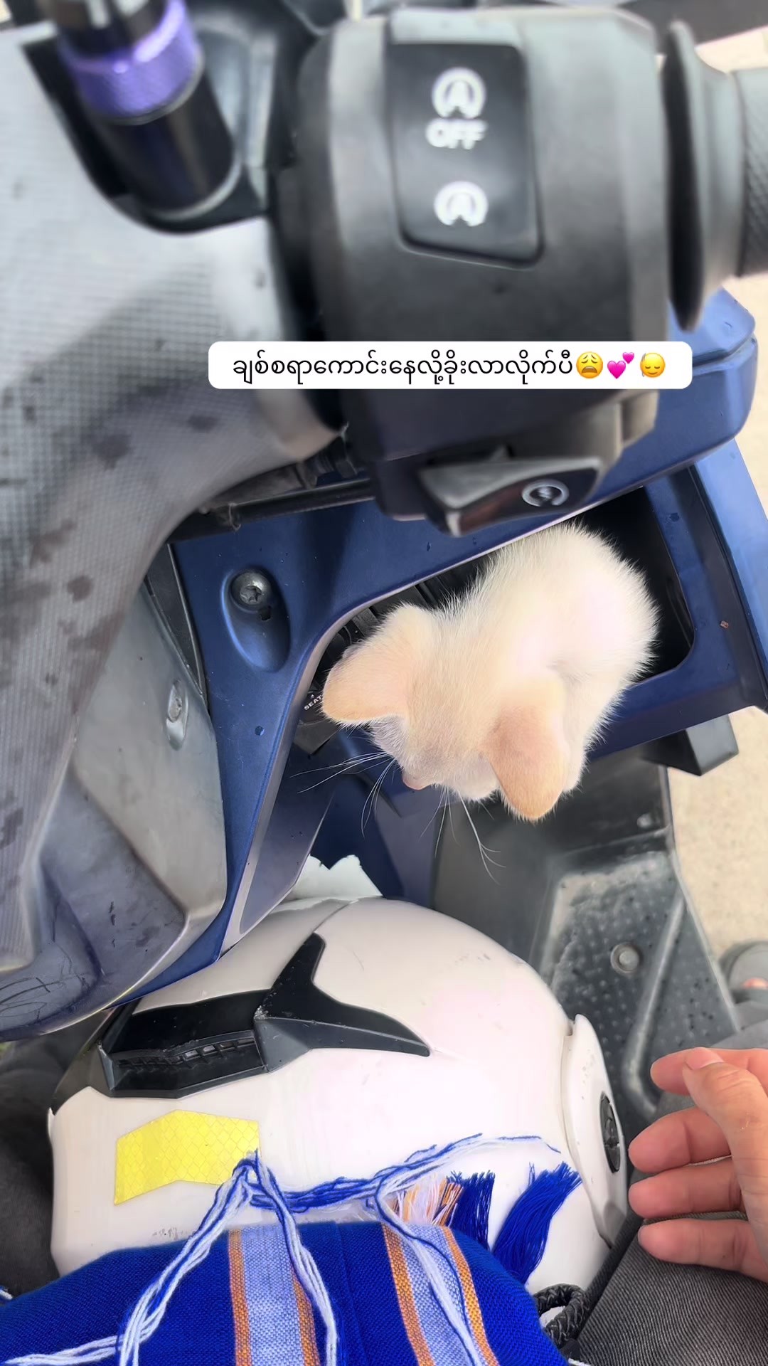 @.