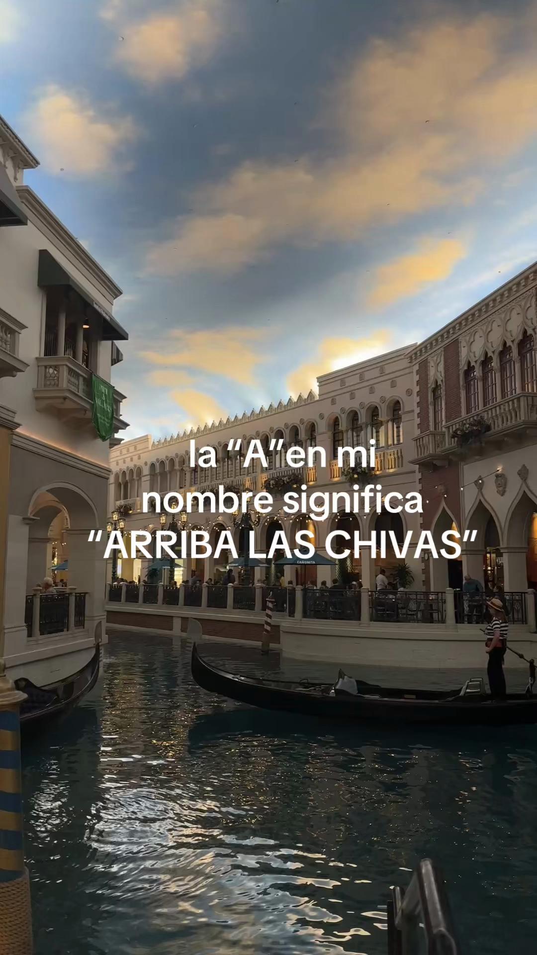 @ara🐚