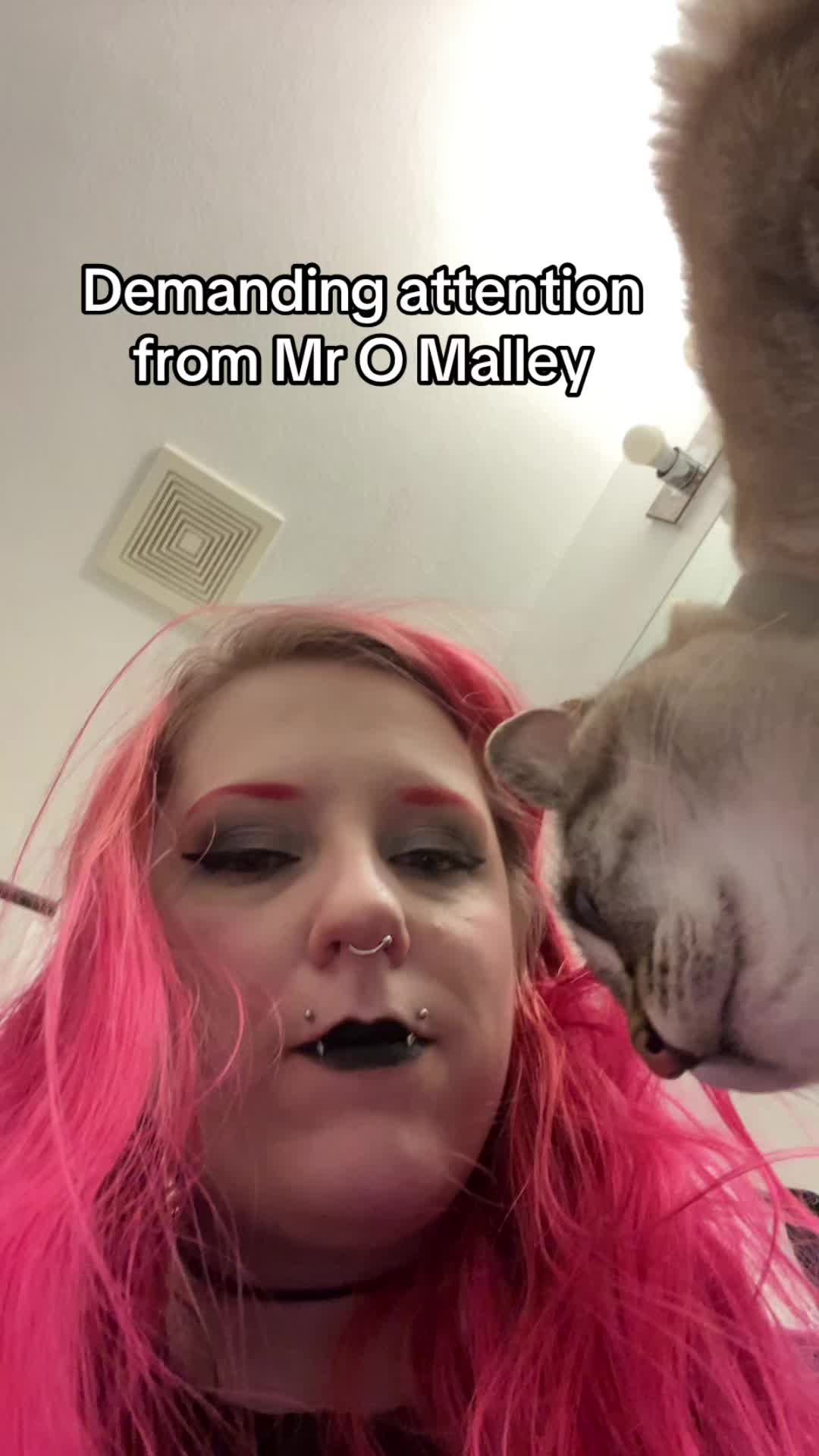 @violetoctober