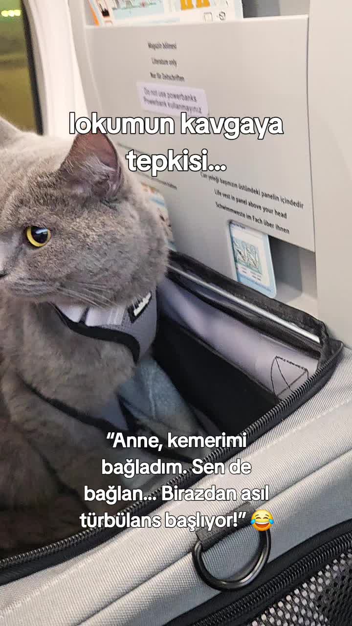 @1Anne ❤️ 1Lokum ❤️