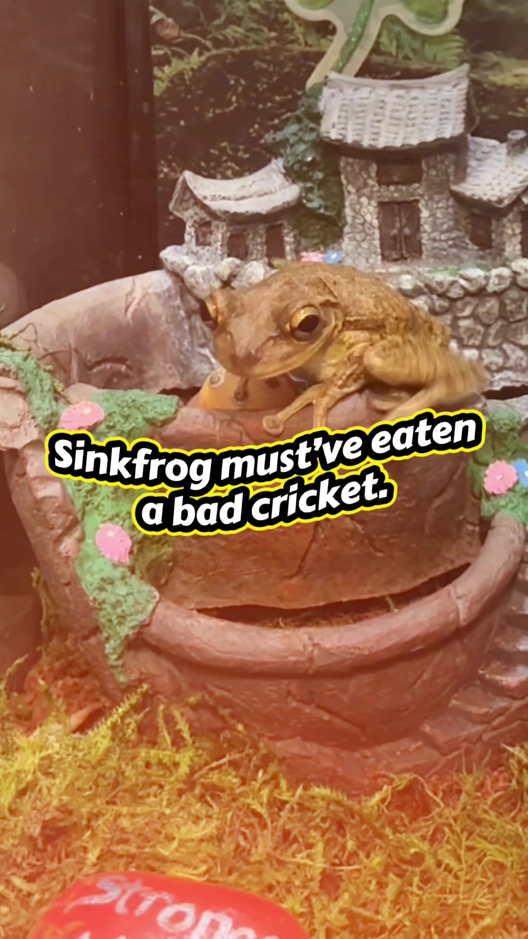 @originalSinkfrog