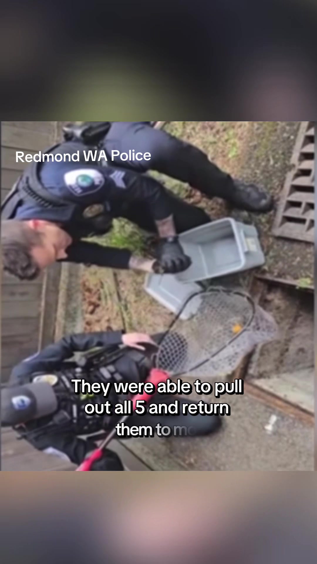 @Jo Ellison