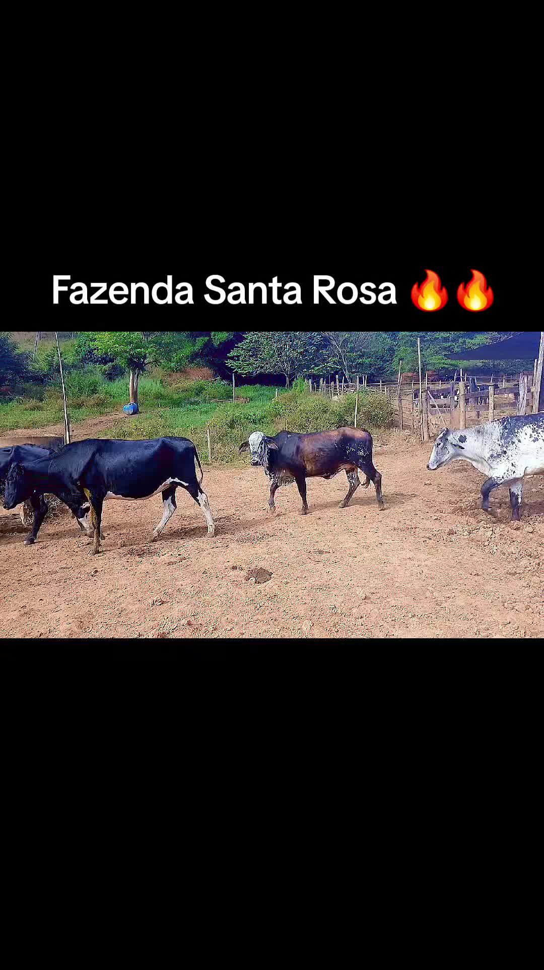 @Fazenda Santa Rosa