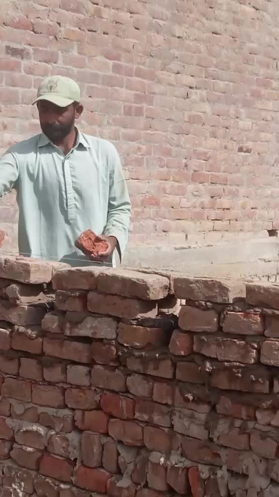 @majid ali