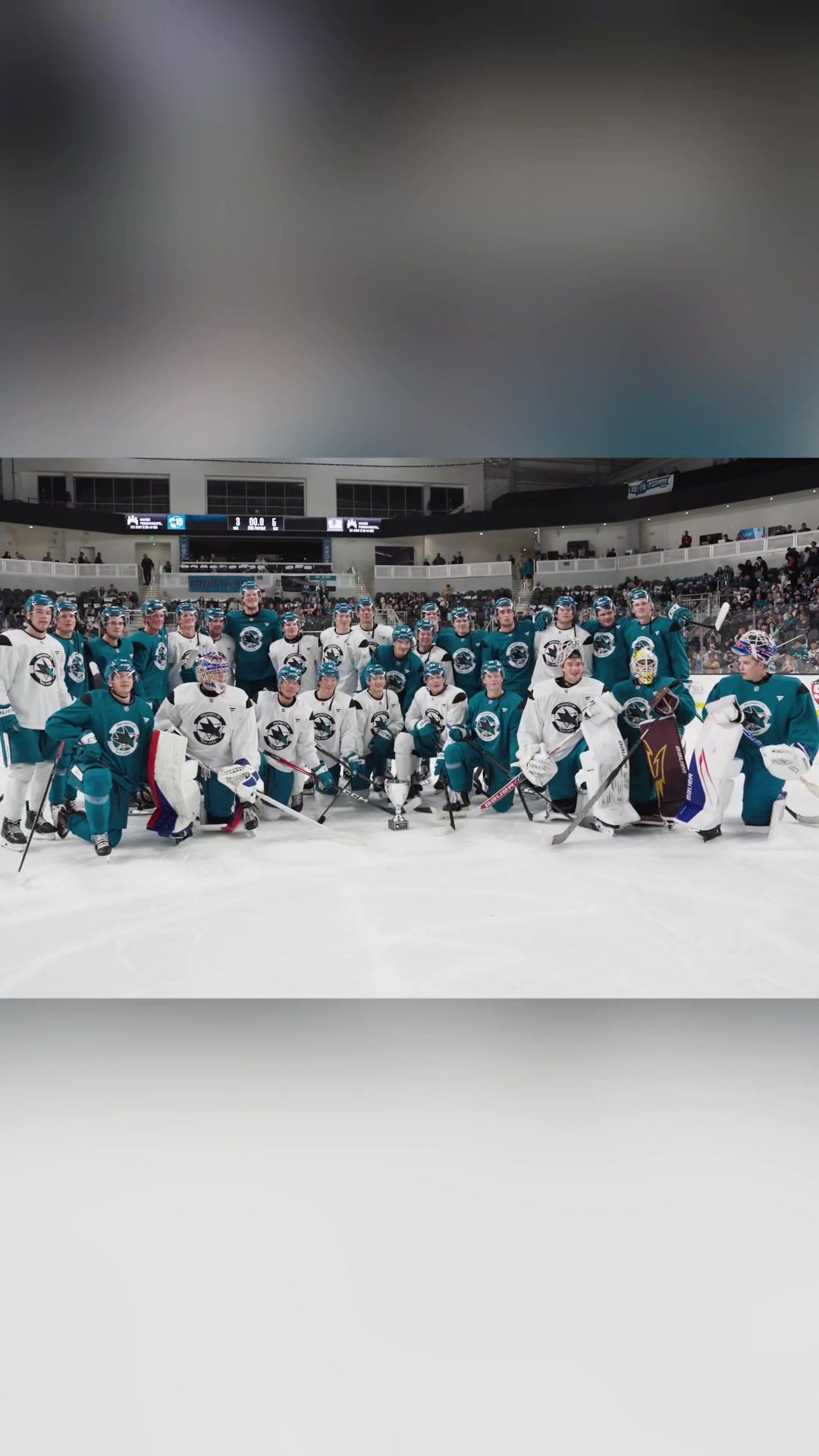 @San Jose Sharks