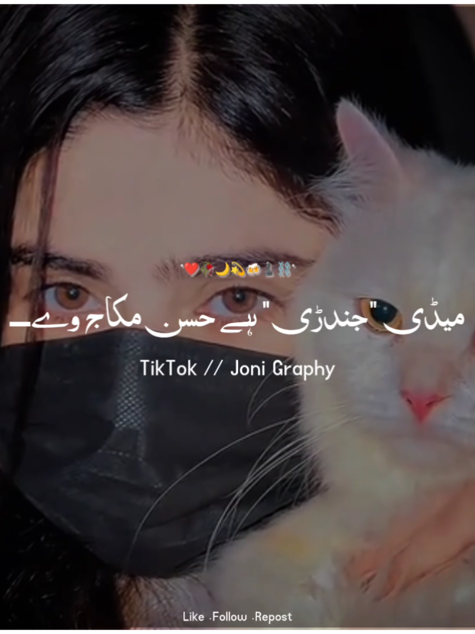 @°جونـــــی٘𓇢𓆸