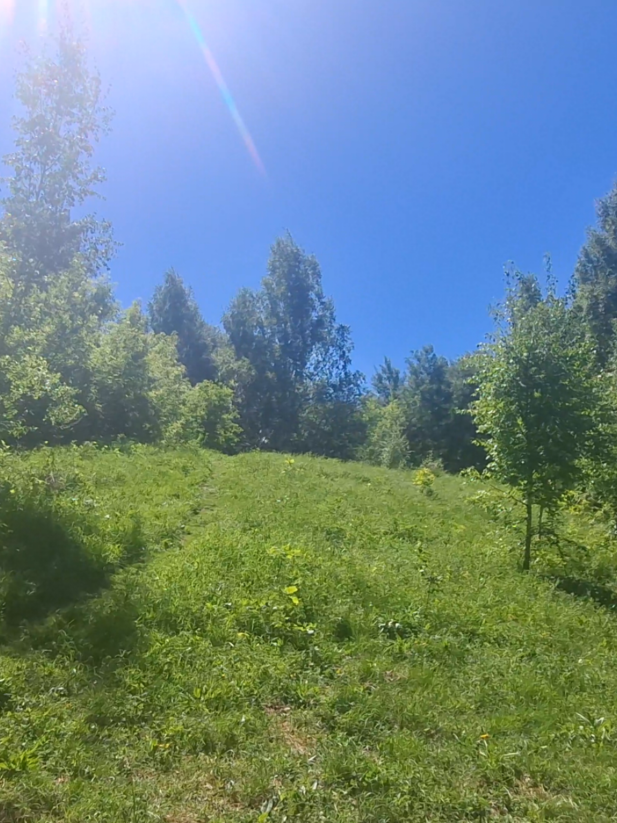 @green_greens