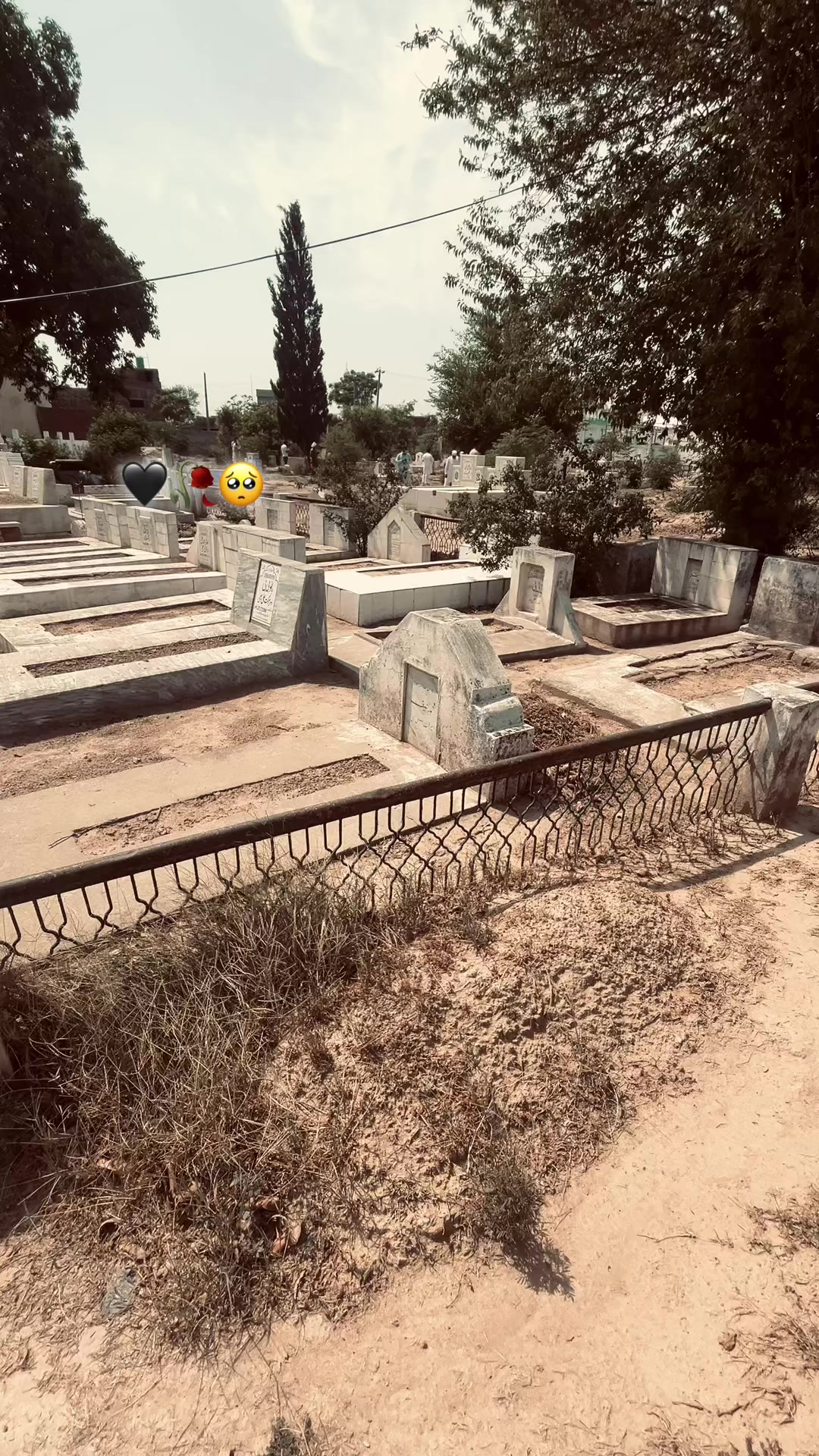 @Rana Faizi 🧸