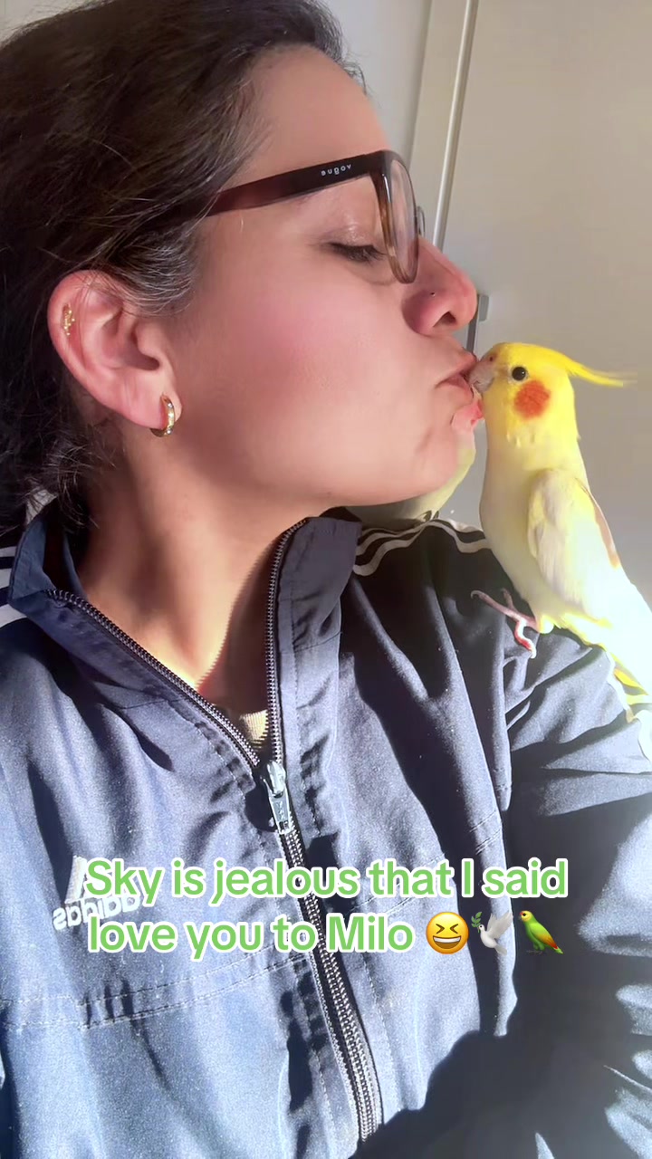 @pahadi_diva