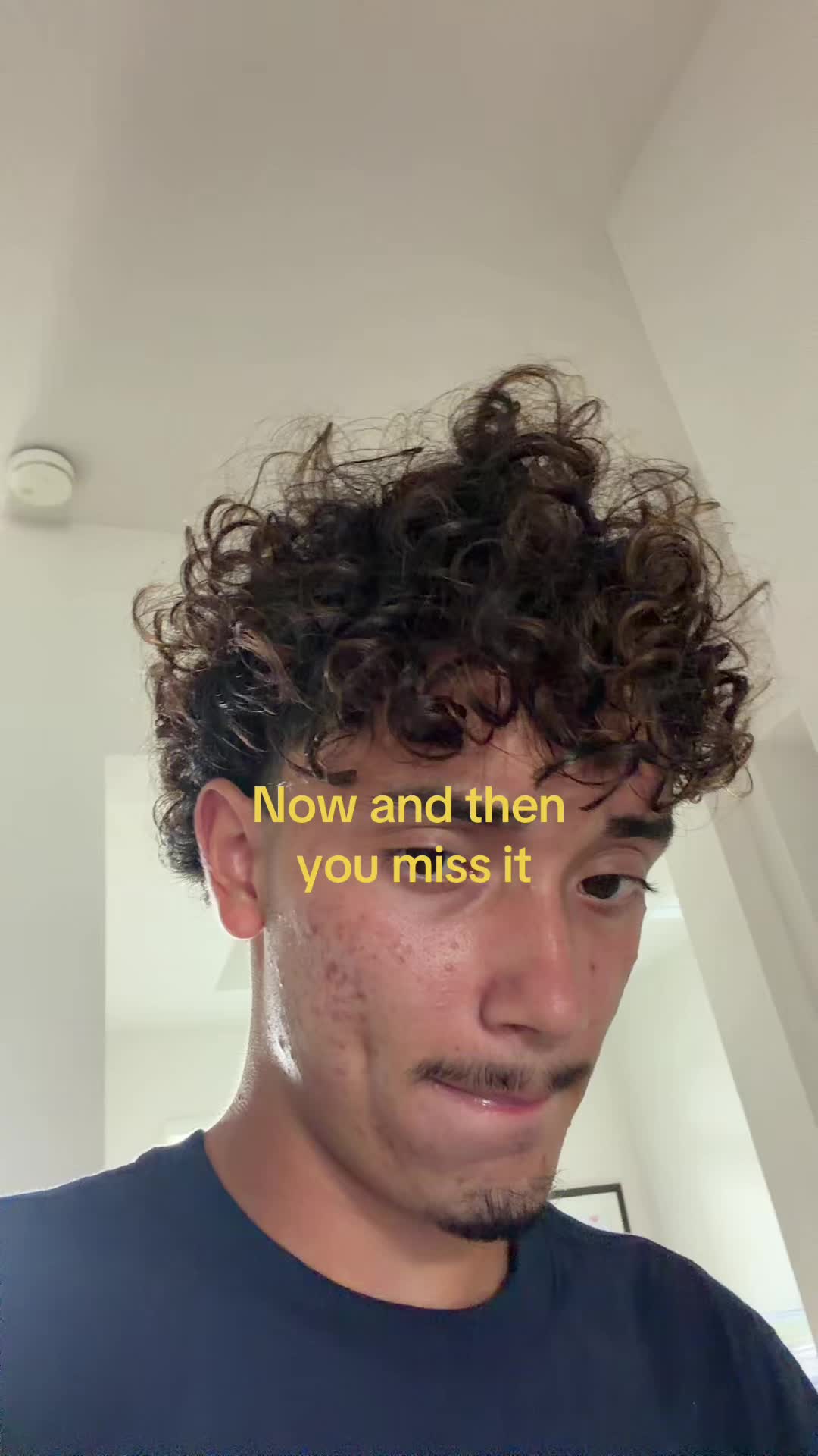 @seba