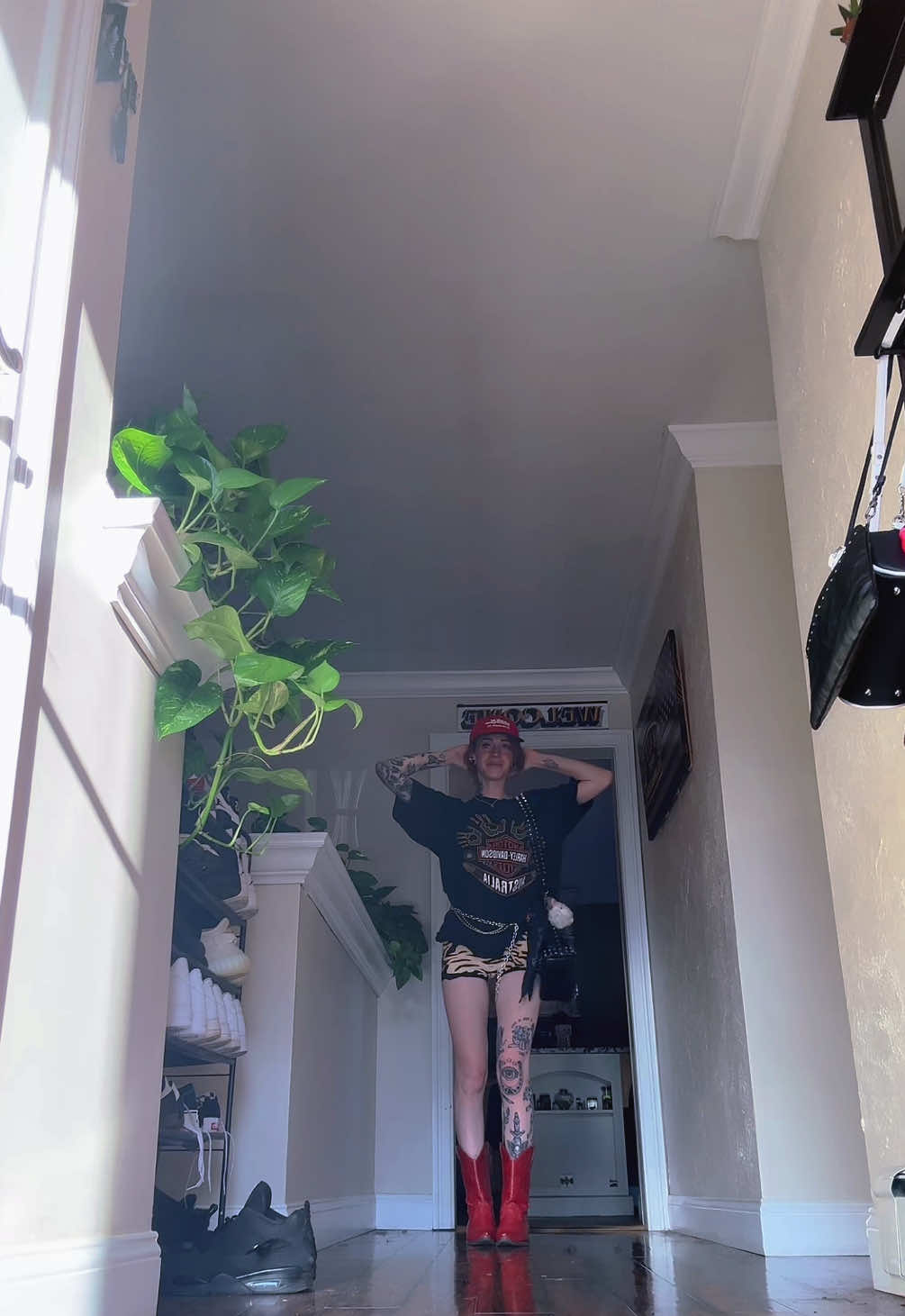 @arielleanastasio