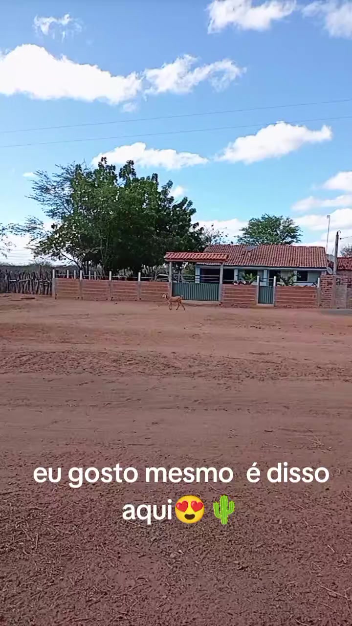 @lenne