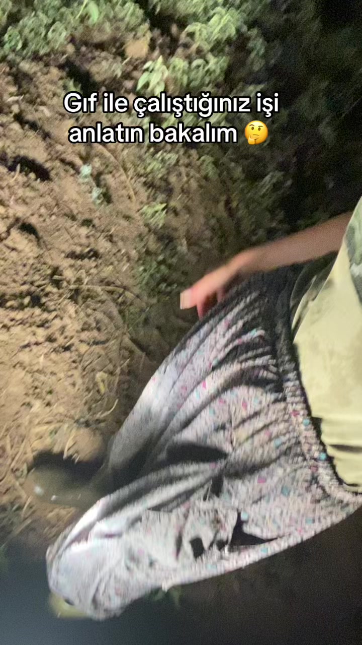 @Teslime AFŞAR
