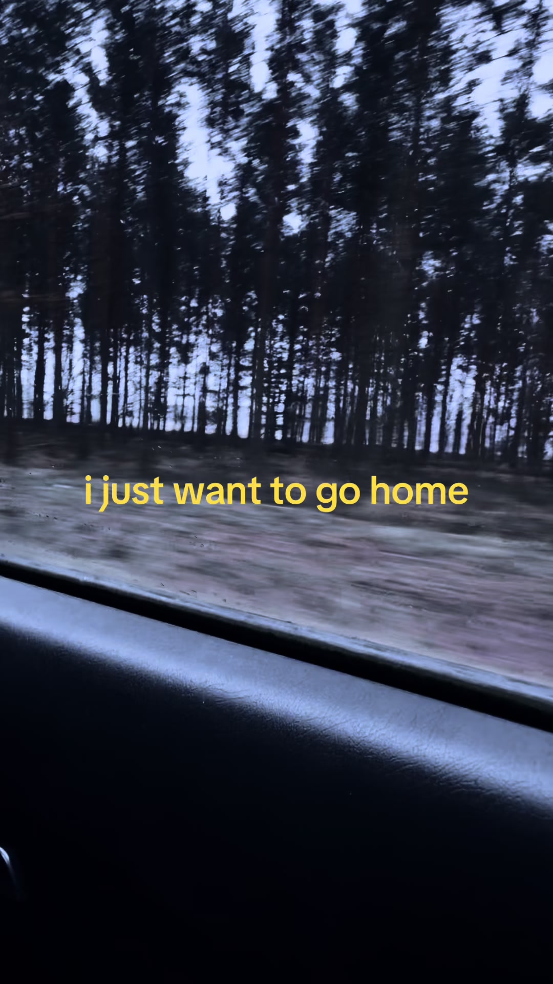 @tosia🪽🦤💟
