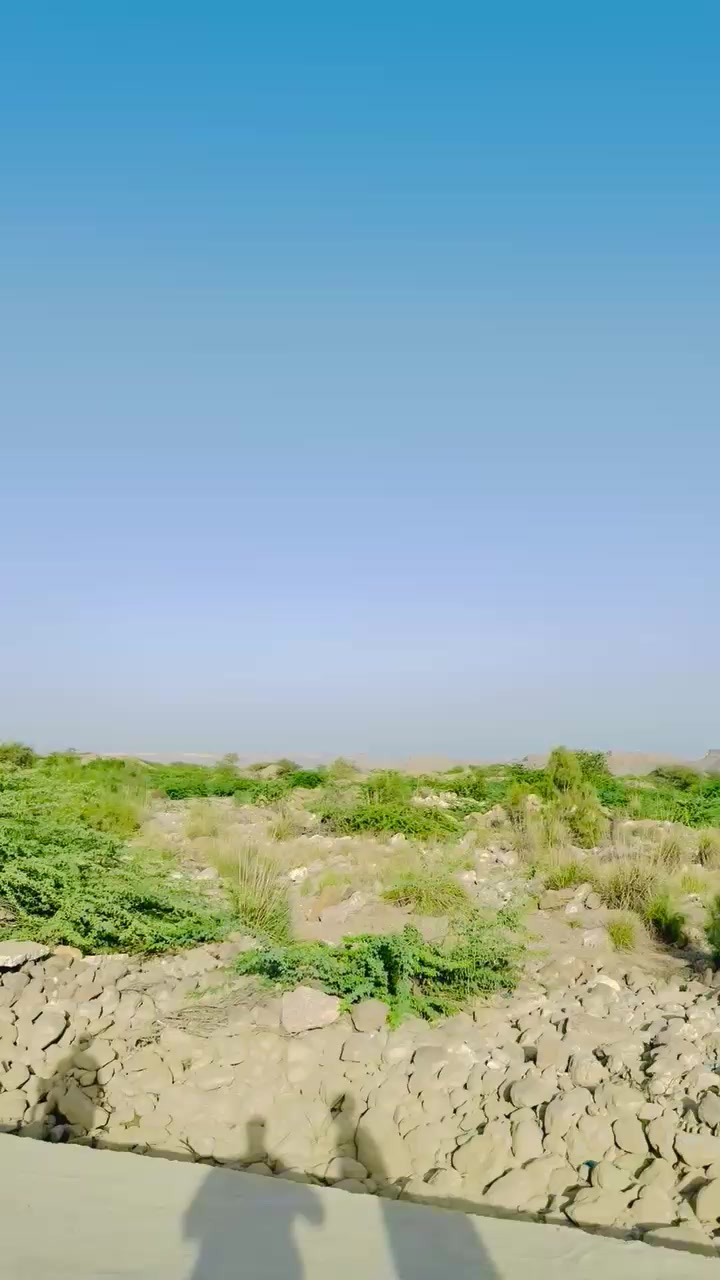 @🇩🇯👑رخشانی صاحب👑 🇩🇯