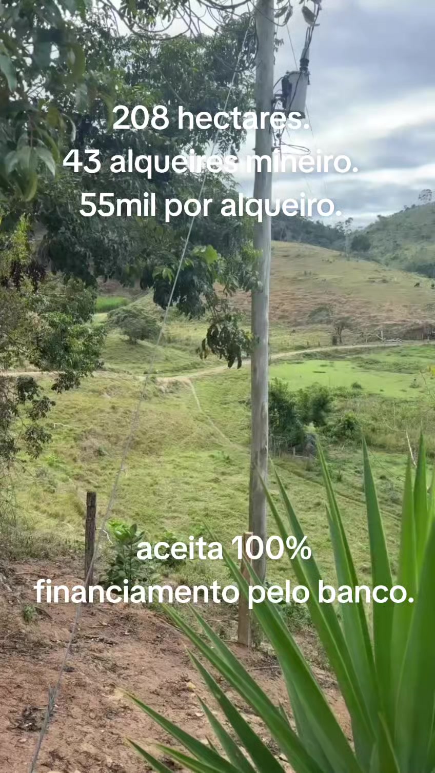 @O REI DAS FAZENDAS.
