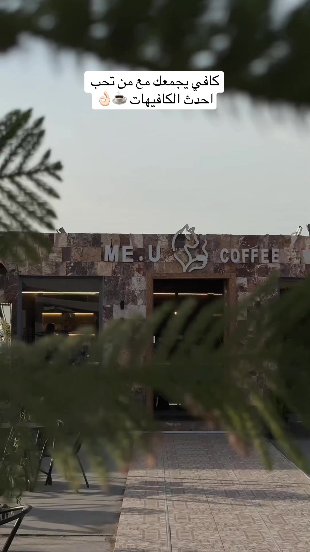 @محمد الدعجاني | الطائف ☕️📸